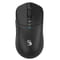 Фото - Мышь беспроводная Bloody R72 Pro Black | click.ua