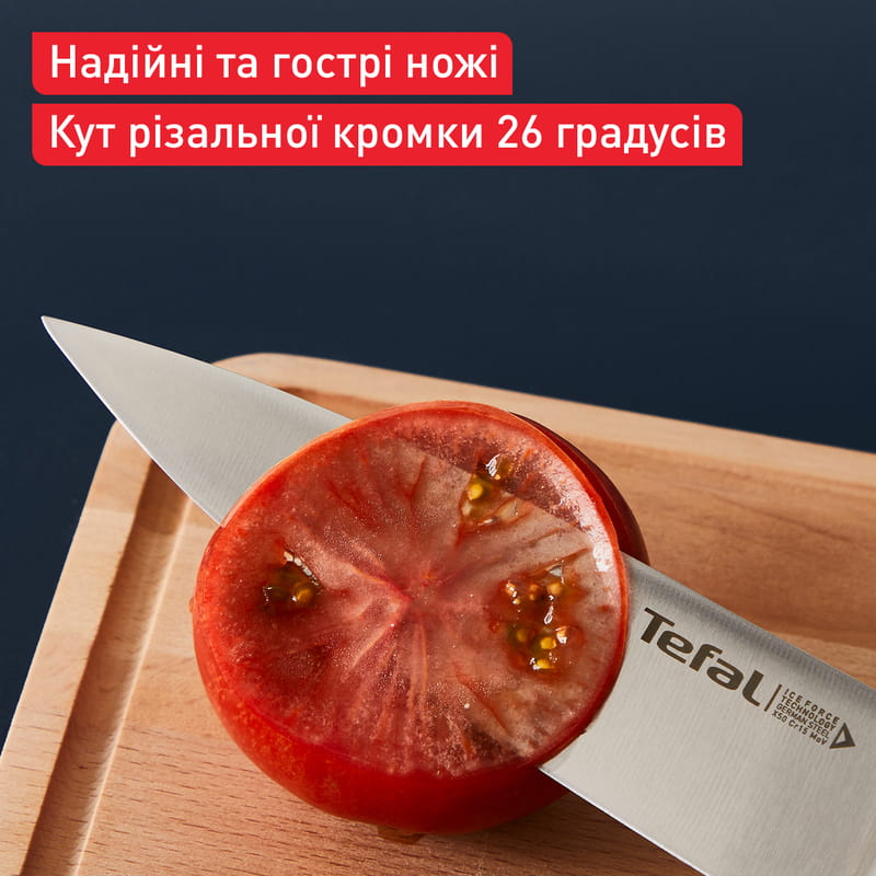Набір ножів Tefal Ice Force у пластиковій колоді 4 предмети (K2325S75)