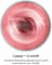 Фото - Фітнес-блендер Tefal Lightmix BL1C0230 | click.ua