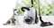 Фото - Пылесос Heinner HVC-M700WH | click.ua
