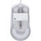 Фото - Миша SteelSeries Rival 3 Gen 2 RGB White (62516) | click.ua