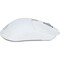 Фото - Миша SteelSeries Rival 3 Gen 2 RGB White (62516) | click.ua