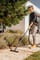 Фото - Пылесос Karcher WD 3 V-17/4/20 (1.628-127.0) | click.ua