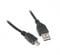 Фото - Кабель Maxxter (U-AM5P-6) USB 2.0 AM - Mini USB B, 1.8м | click.ua