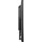 Фото - Монитор Iiyama 23.8" T2455MSC-B1 IPS Black | click.ua