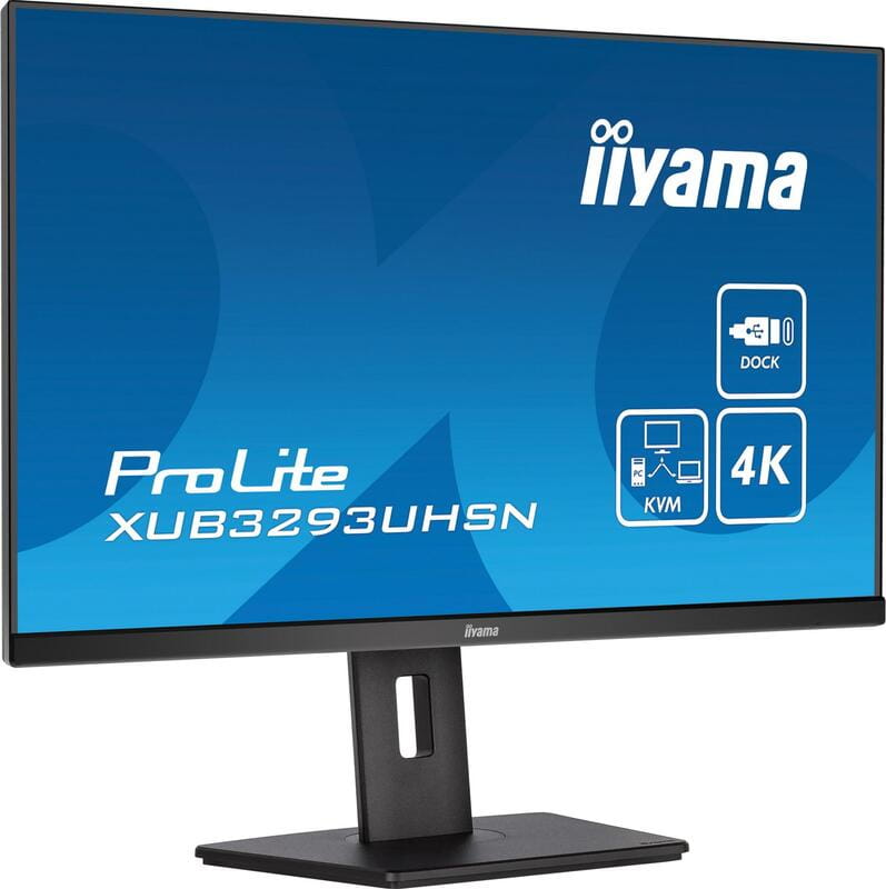 Монитор Iiyama 31.5" ProLite XUB3293UHSN-B5 IPS Black