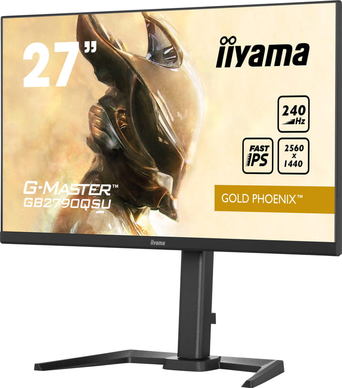 Монітор Iiyama 27" G-Master GB2790QSU-B5 IPS Black 240Hz