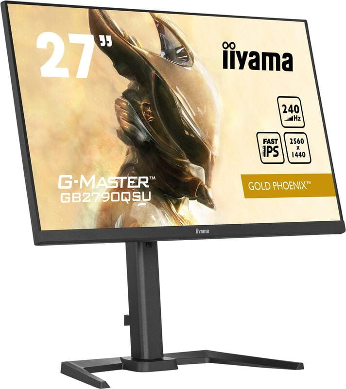 Монітор Iiyama 27" G-Master GB2790QSU-B5 IPS Black 240Hz