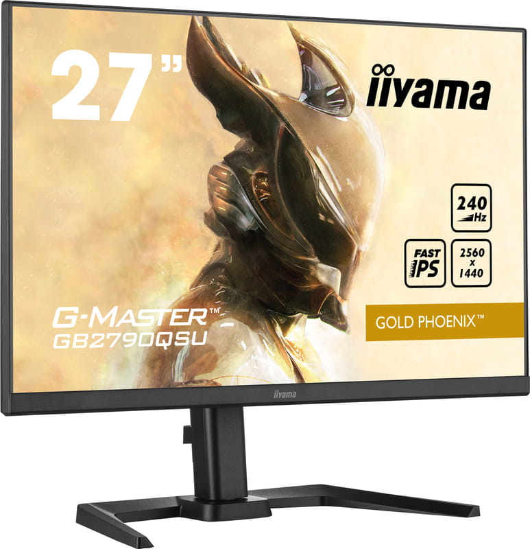 Монітор Iiyama 27" G-Master GB2790QSU-B5 IPS Black 240Hz