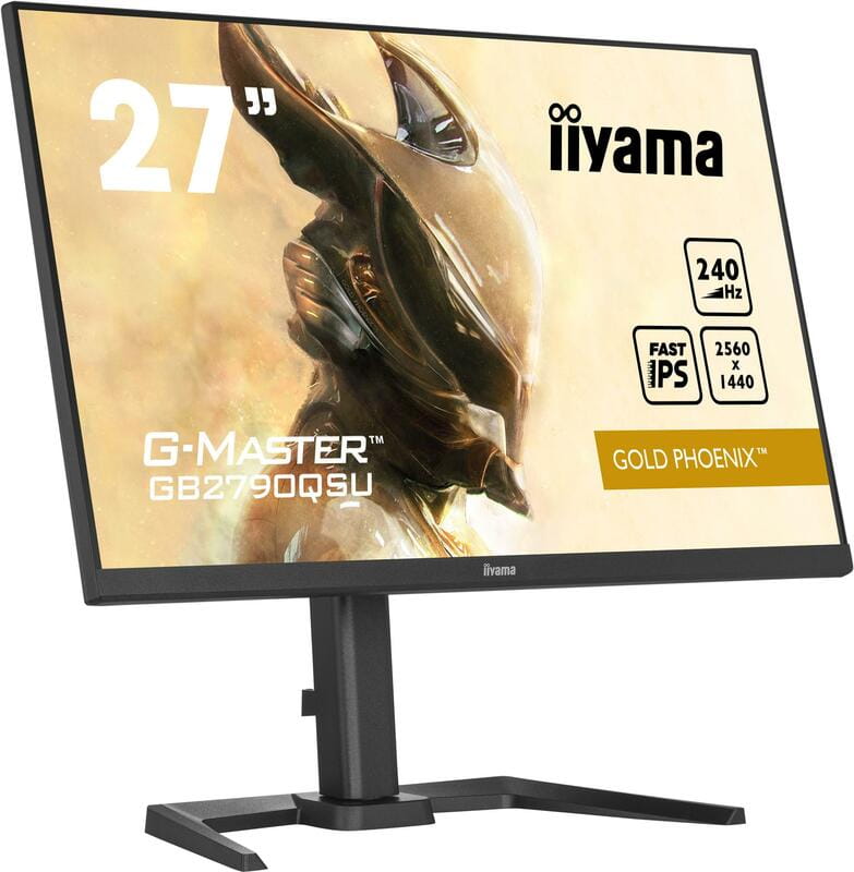 Монітор Iiyama 27" G-Master GB2790QSU-B5 IPS Black 240Hz