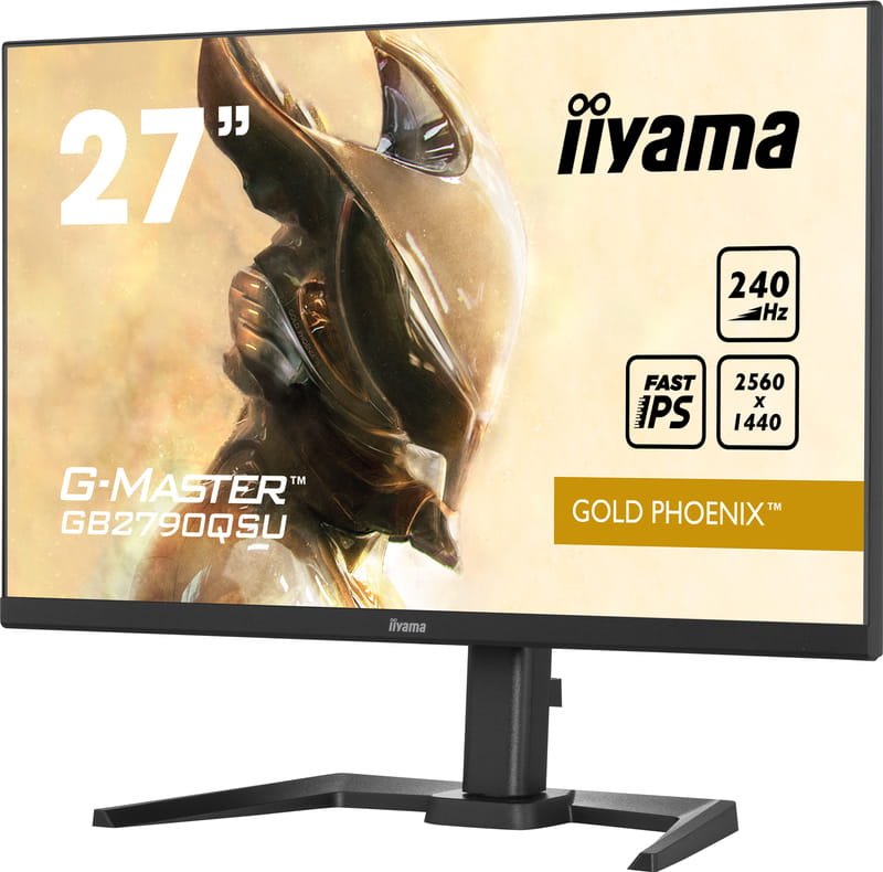 Монітор Iiyama 27" G-Master GB2790QSU-B5 IPS Black 240Hz