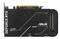 Фото - Відеокарта GF RTX 5050 8GB GDDR6 Dual OC Asus (DUAL-RTX5050-O8G) | click.ua