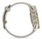 Фото - Смарт-часы Garmin Forerunner 970 French Gray Soft Gold Titanium with French Gray/Translucent Indigo Silicone with Soft Gold Buckle (010-02969-62) | click.ua
