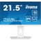 Фото - Монитор Iiyama 21.5" ProLite XUB2292HSU-W6 IPS White 100Hz | click.ua