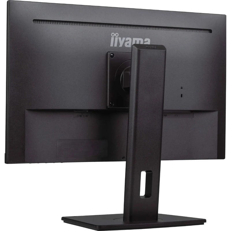 Монитор Iiyama 23.8" ProLite XUB2493HS-B6 IPS Black 100Hz