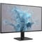 Фото - Монитор Philips 27" 27E2N1110/00 IPS Black 120Hz | click.ua