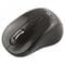 Фото - Мышь беспроводная Esperanza Titanum TM104K Black USB | click.ua