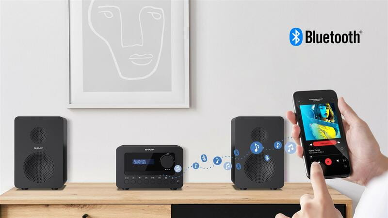 Микросистема Sharp Micro Sound System Black (XL-B514(BK))