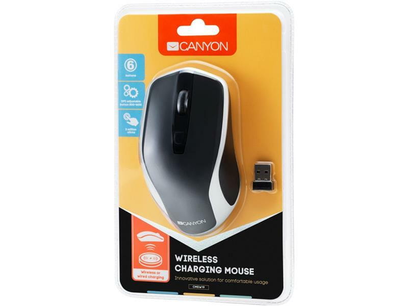 Мышь беспроводная Canyon CNS-CMSW19B Black/Silver USB