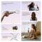 Фото - Фен Dreame Hair Mini White (AHG11AW) | click.ua