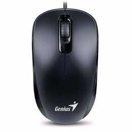 Мишка Genius DX-110 (31010116106) Black