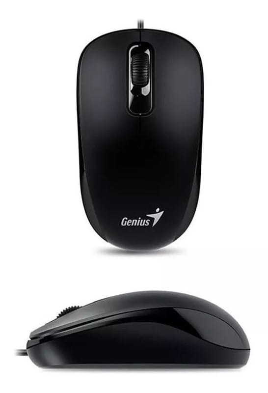 Мишка Genius DX-110 (31010116106) Black