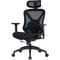 Фото - Кресло офисное OfficePro Atlas OC630-B-B-B Black | click.ua