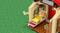 Фото - Конструктор LEGO Animal Crossing Уютный дом Goldie (77058) | click.ua