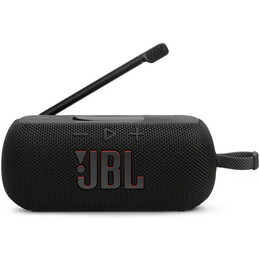 Акустическая система JBL Tuner 3 Black (JBLTUNER3BLK)