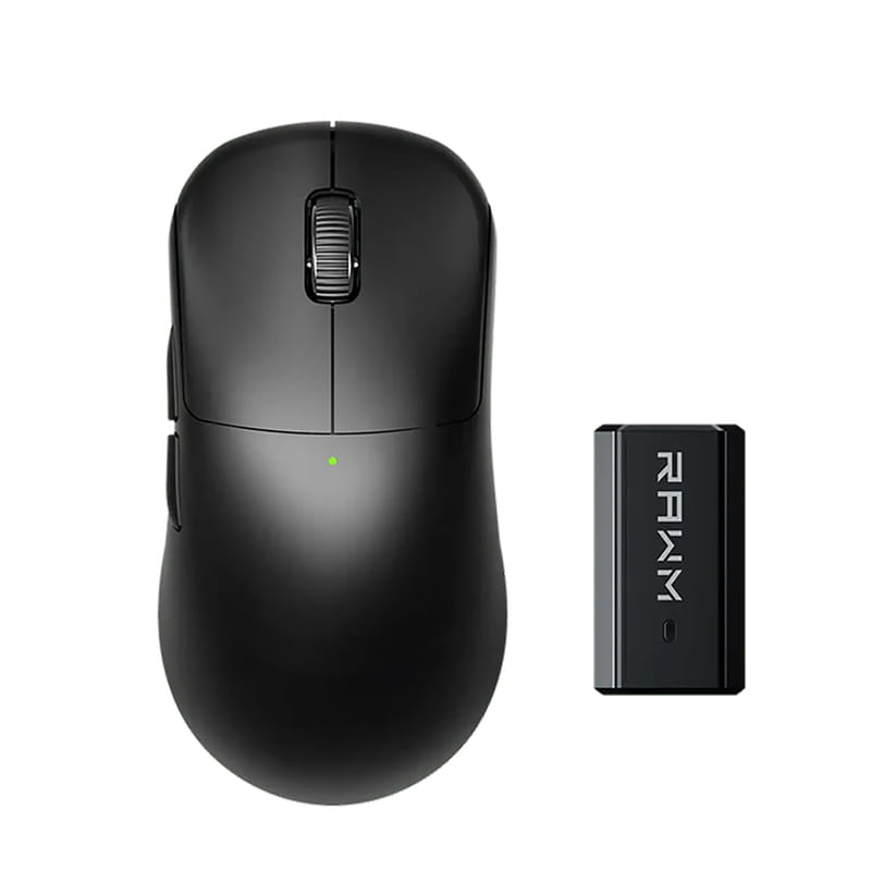 Мышь беспроводная RAWM ES21Pro Black