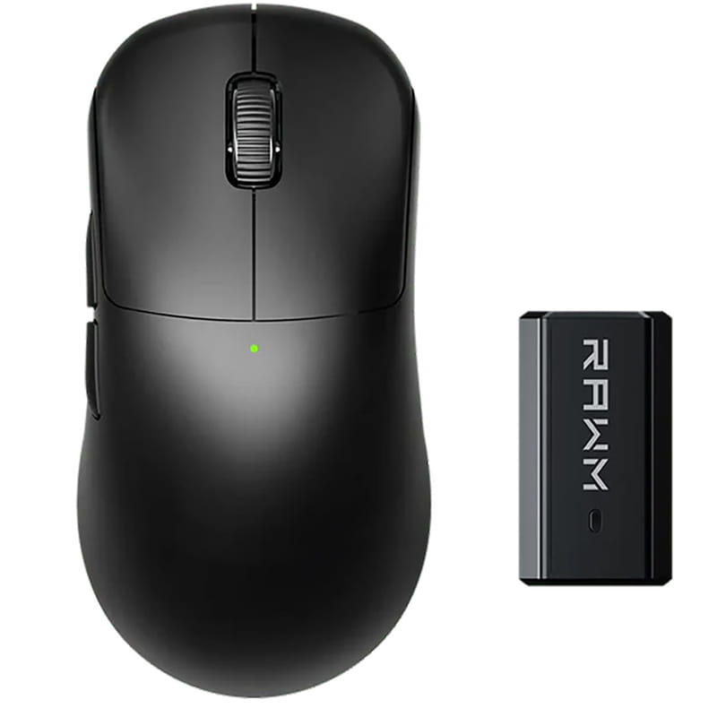 Мышь беспроводная RAWM ES21Pro Black