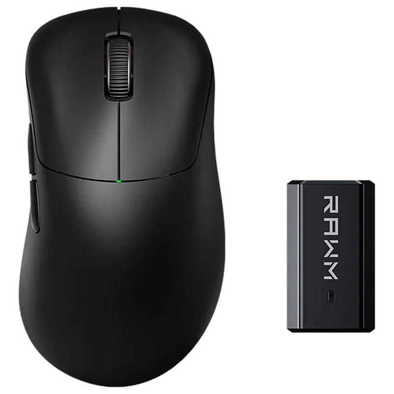 Миша бездротова RAWM ER21Pro Black