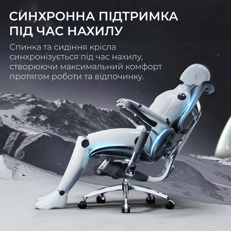 Кресло офисное Sihoo Doro S300 Mesh Dark Grey (S300-M201)