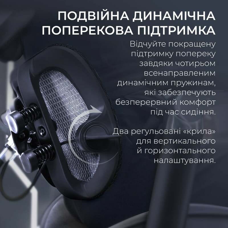 Кресло офисное Sihoo Doro S300 Mesh Dark Grey (S300-M201)