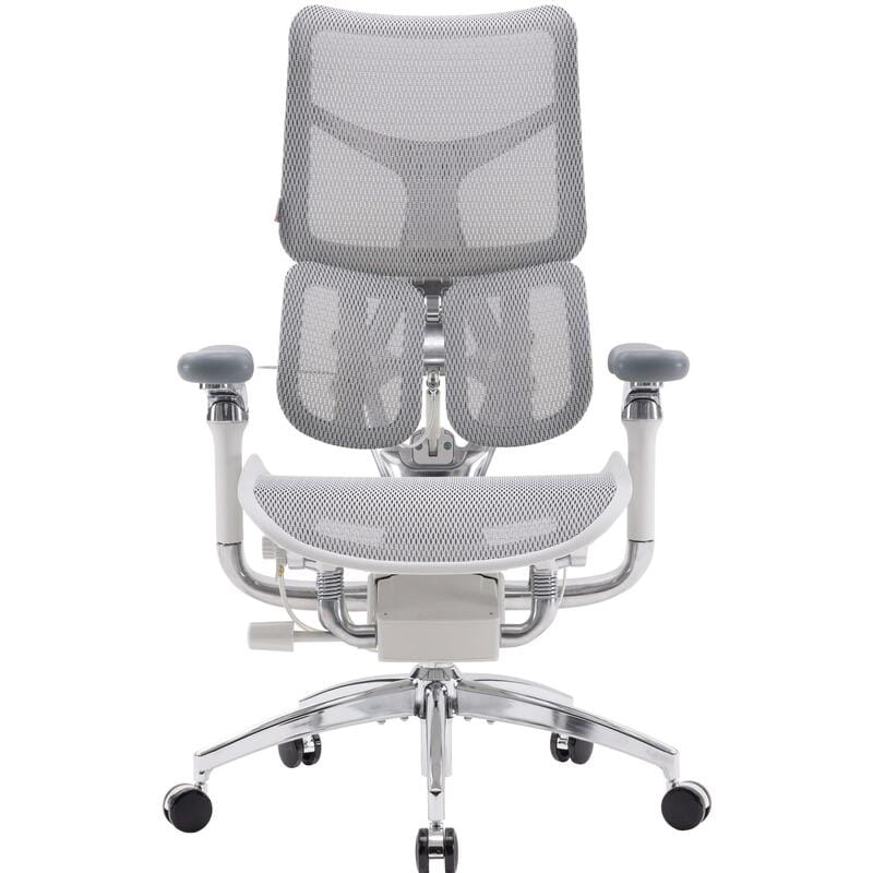 Крісло офісне Sihoo Doro S300 Mesh Light Grey (S300-M202)
