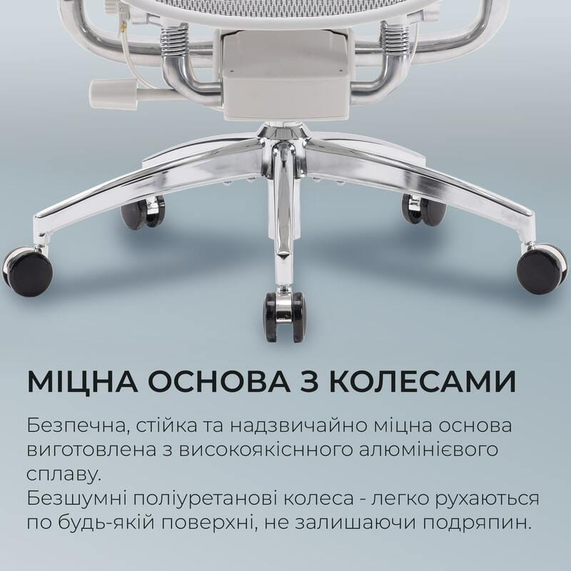 Крісло офісне Sihoo Doro S300 Mesh Light Grey (S300-M202)
