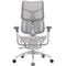 Фото - Крісло офісне Sihoo Doro S300 Mesh Light Grey (S300-M202) | click.ua