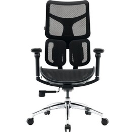 Крісло офісне Sihoo Doro S100 Mesh Black (S100-M301)