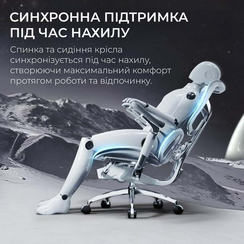 Кресло офисное Sihoo Doro S100 Mesh Black (S100-M301)