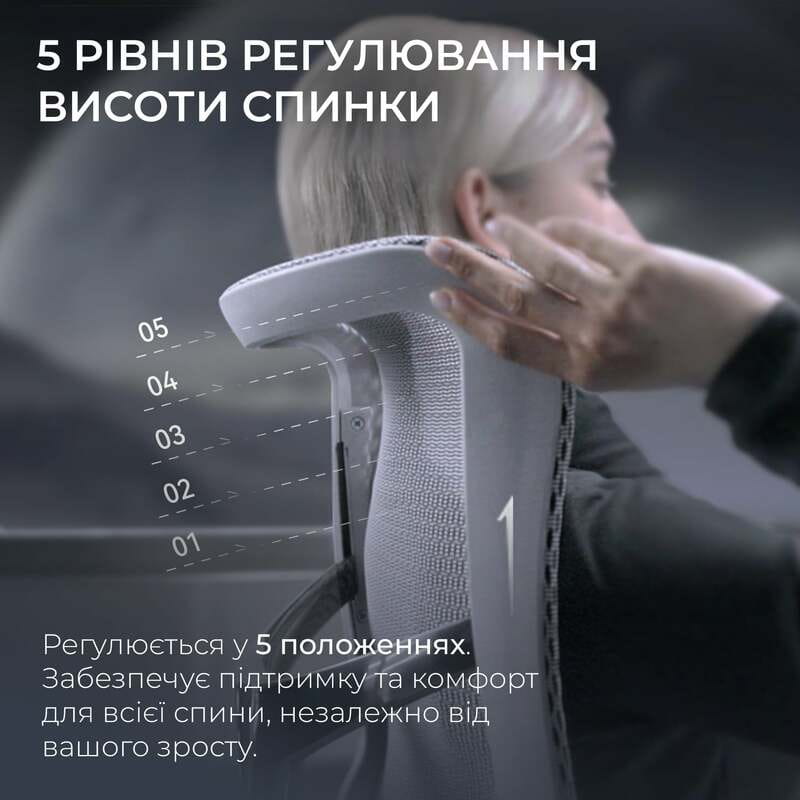 Кресло офисное Sihoo Doro S100 Mesh Black (S100-M301)