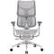 Фото - Кресло офисное Sihoo Doro S100 Mesh Black (S100-M301) | click.ua