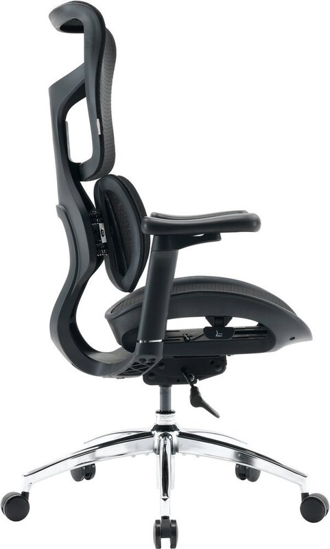 Кресло офисное Sihoo Doro S100 Mesh Black (S100-M301)