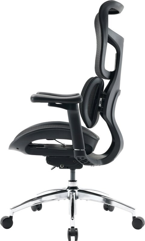 Кресло офисное Sihoo Doro S100 Mesh Black (S100-M301)