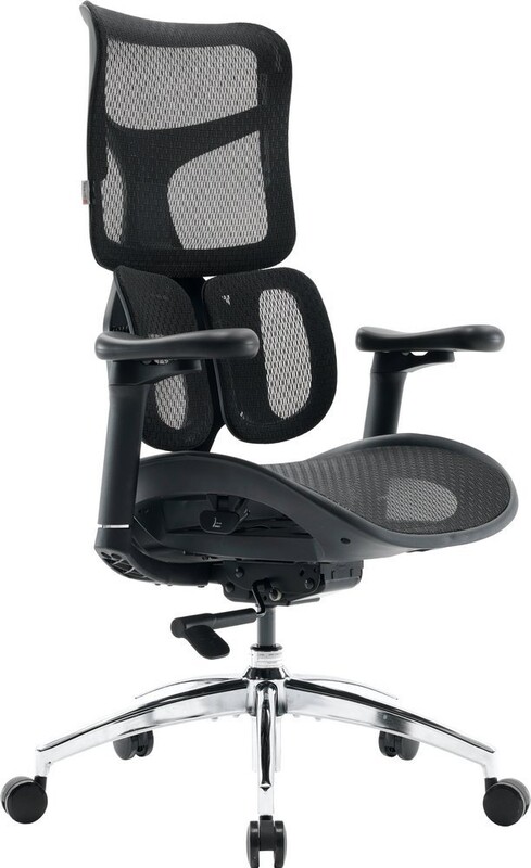 Кресло офисное Sihoo Doro S100 Mesh Black (S100-M301)
