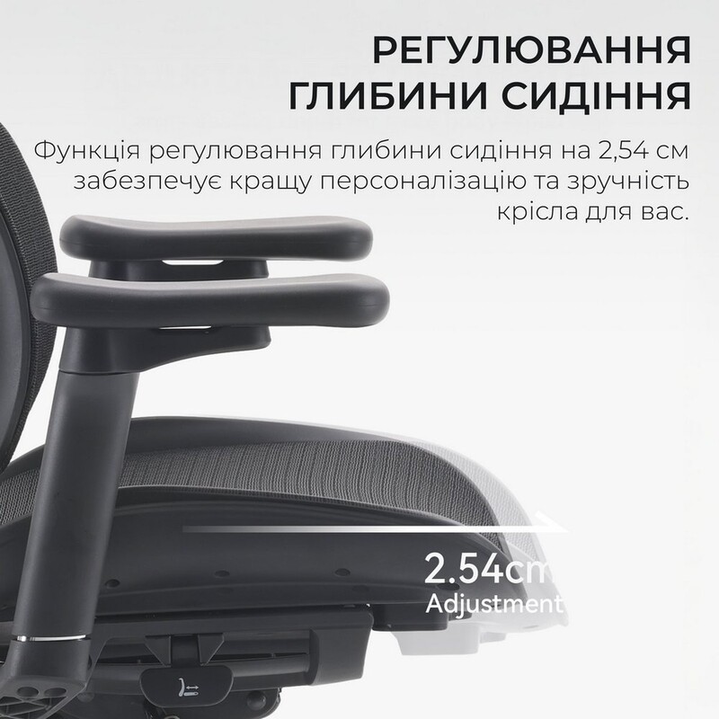 Кресло офисное Sihoo Doro S100 Mesh Black (S100-M301)