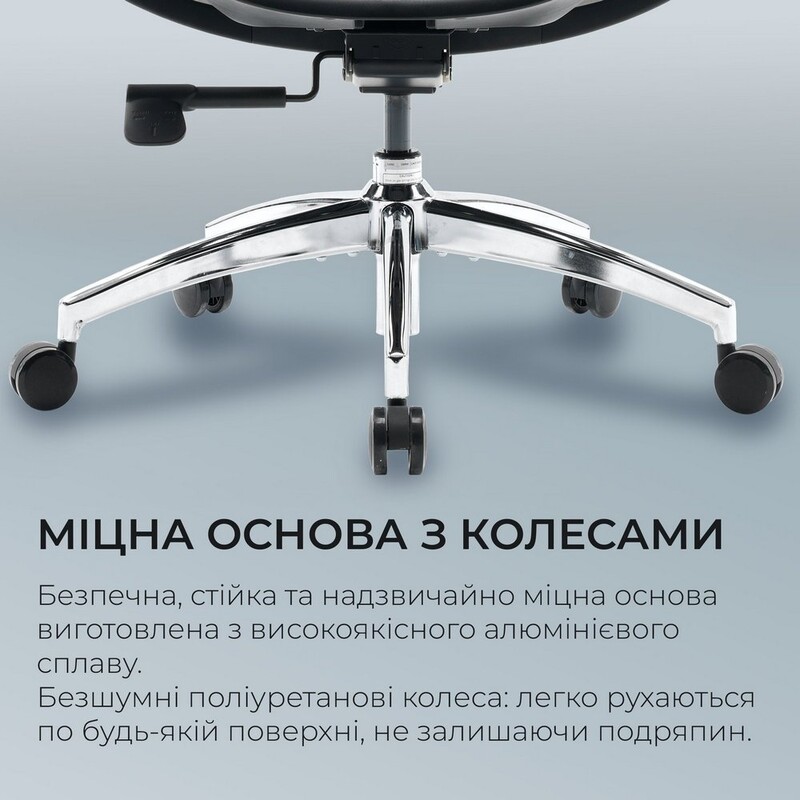 Кресло офисное Sihoo Doro S100 Mesh Black (S100-M301)