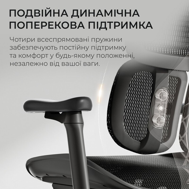 Кресло офисное Sihoo Doro S100 Mesh Black (S100-M301)