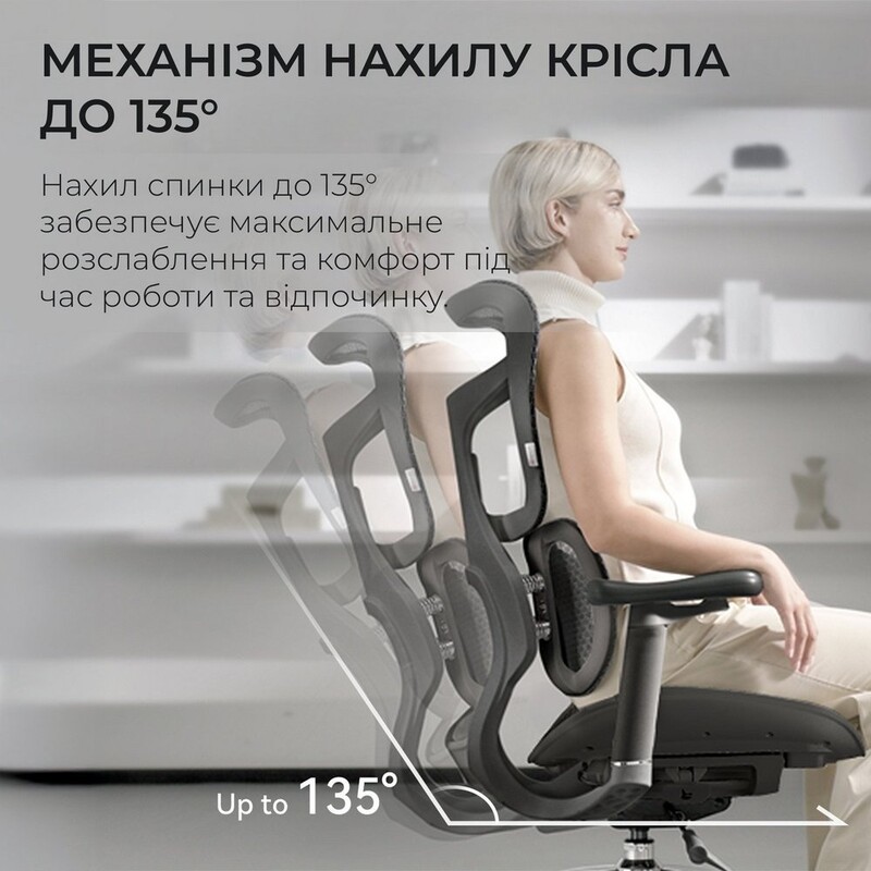 Кресло офисное Sihoo Doro S100 Mesh Black (S100-M301)