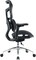 Фото - Кресло офисное Sihoo Doro S100 Mesh Black (S100-M301) | click.ua