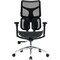 Фото - Кресло офисное Sihoo Doro S100 Mesh Black (S100-M301) | click.ua